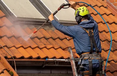 Démoussage et hydrofuge de toiture à Futeau